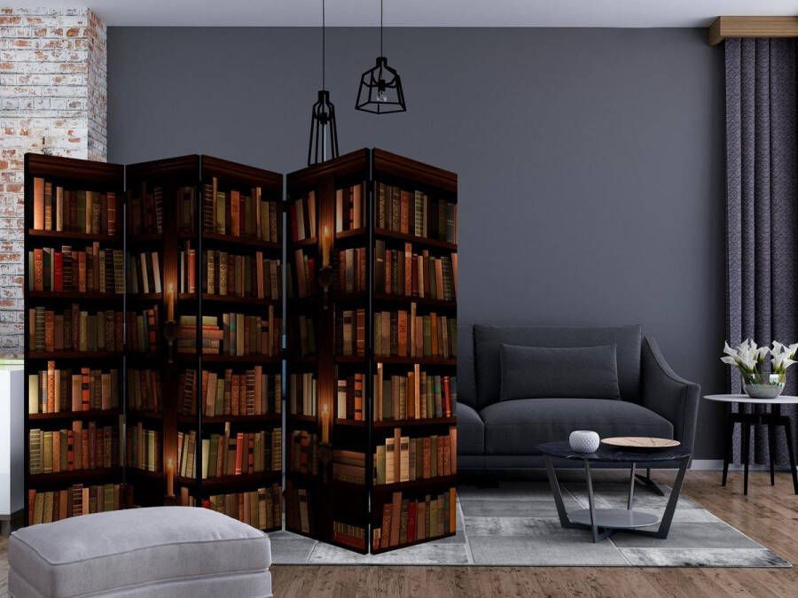 Vouwscherm Bookshelves II [Room Dividers]