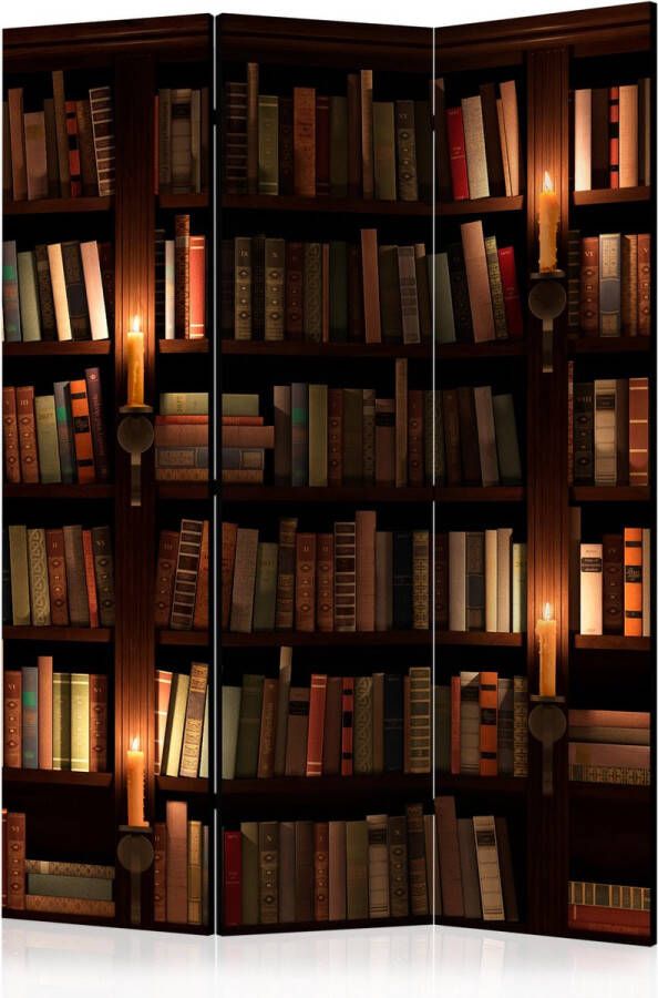 Vouwscherm Bookshelves [Room Dividers]
