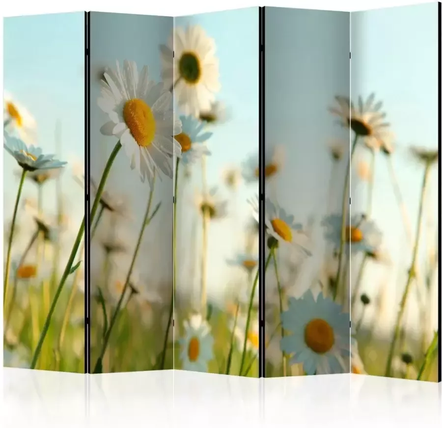 Artgeist Walljar Vouwscherm Daisies spring meadow II [Room Dividers]