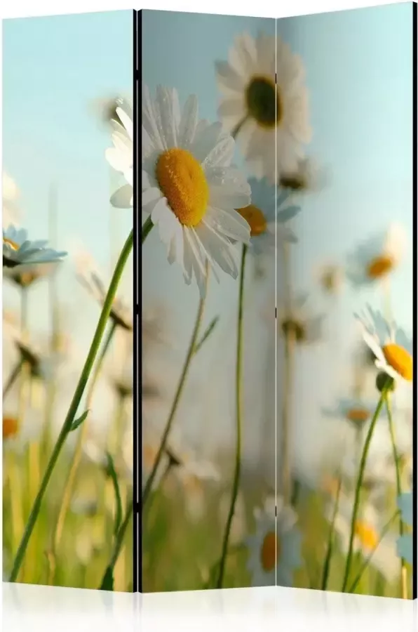 Artgeist Walljar Vouwscherm Daisies spring meadow [Room Dividers]