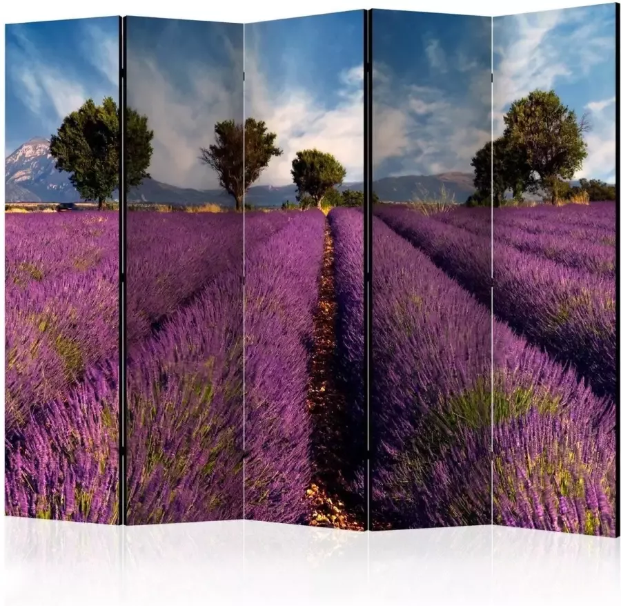 Artgeist Walljar Vouwscherm Lavender field in Provence France II [Room Dividers] - Foto 2