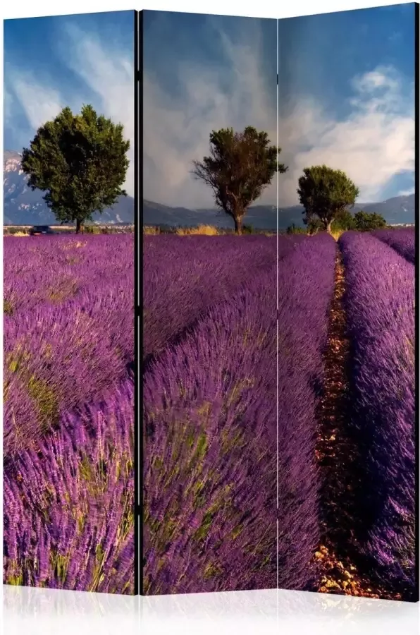 Artgeist Walljar Vouwscherm Lavender field in Provence France [Room Dividers] - Foto 2