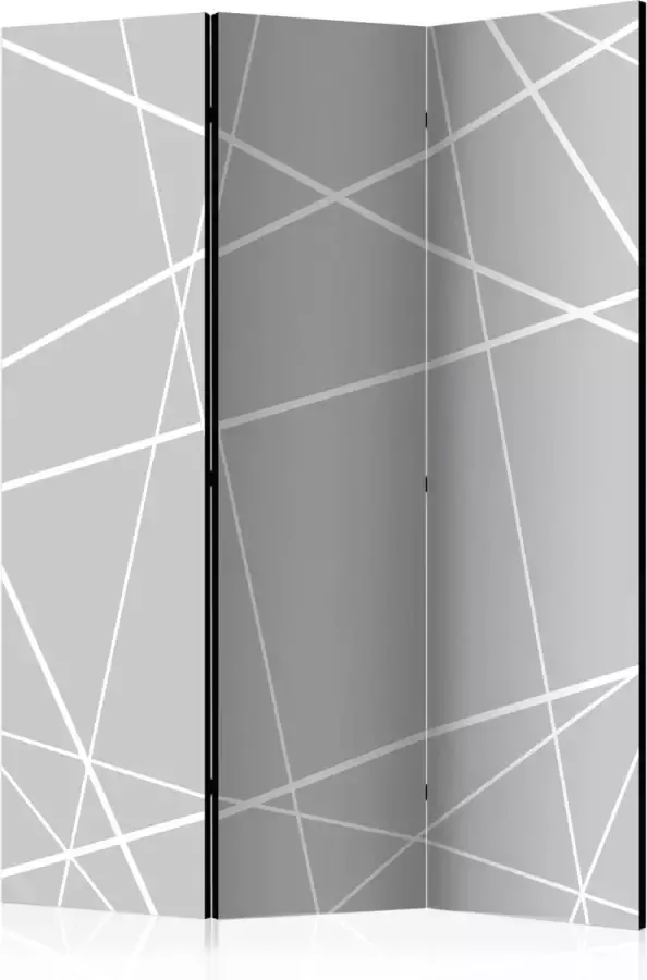 Vouwscherm Modern Cobweb [Room Dividers]