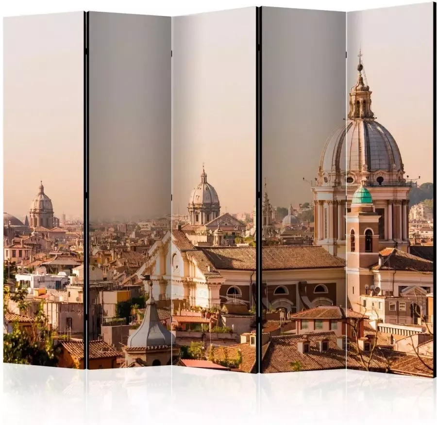 Artgeist Walljar Vouwscherm Rome bird's eye view II [Room Dividers]