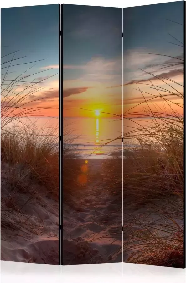 Vouwscherm Sunset over the Atlantic Ocean [Room Dividers]