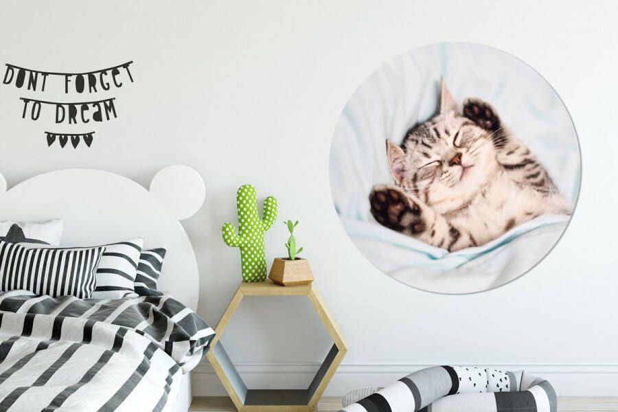 WallCircle Wandcirkel ⌀ 120 Kitten Grappig Bed Kinderen Jongens Meisjes Kids Ronde schilderijen woonkamer Wandbord rond Muurdecoratie cirkel Kamer decoratie binnen Wanddecoratie muurcirkel Woonaccessoires XXL