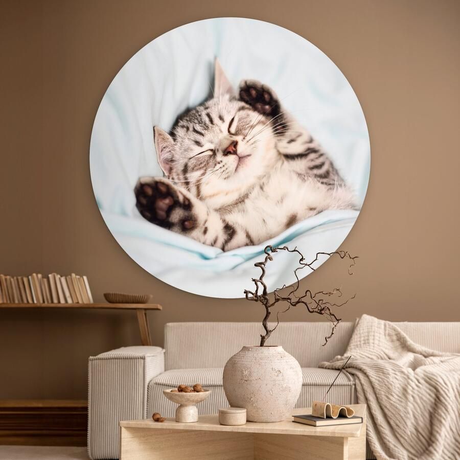 WallCircle Wandcirkel ⌀ 150 Kitten Grappig Bed Kinderen Jongens Meisjes Kids Ronde schilderijen woonkamer Wandbord rond Muurdecoratie cirkel Kamer decoratie binnen Wanddecoratie muurcirkel Woonaccessoires - Foto 2