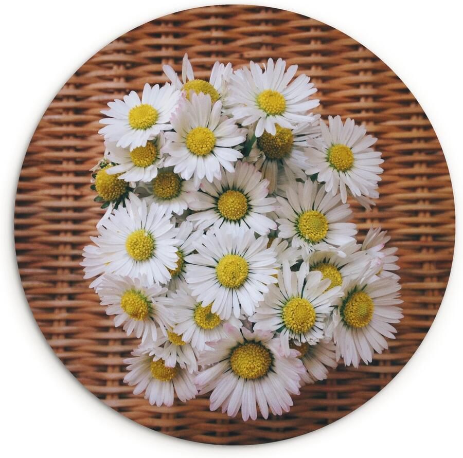 WallCircle Wandcirkel ⌀ 120 Boekt van madeliefjes op een stoel Ronde schilderijen woonkamer Wandbord rond Muurdecoratie cirkel Kamer decoratie binnen Wanddecoratie muurcirkel Woonaccessoires XXL