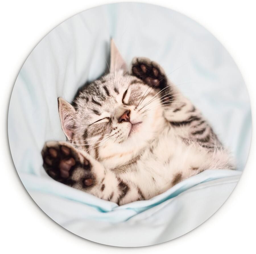 WallCircle Wandcirkel ⌀ 140 Kitten Bed Poten Meisjes Kinderen Jongens Kind Ronde schilderijen woonkamer Wandbord rond Muurdecoratie cirkel Kamer decoratie binnen Wanddecoratie muurcirkel Woonaccessoires