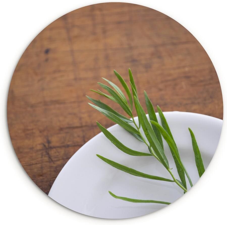 WallCircle Wandcirkel ⌀ 60 Spierwitte schaal met een eenzame dragon plantje op een houten tafel Ronde schilderijen woonkamer Wandbord rond Muurdecoratie cirkel Kamer decoratie binnen Wanddecoratie muurcirkel Woonaccessoires