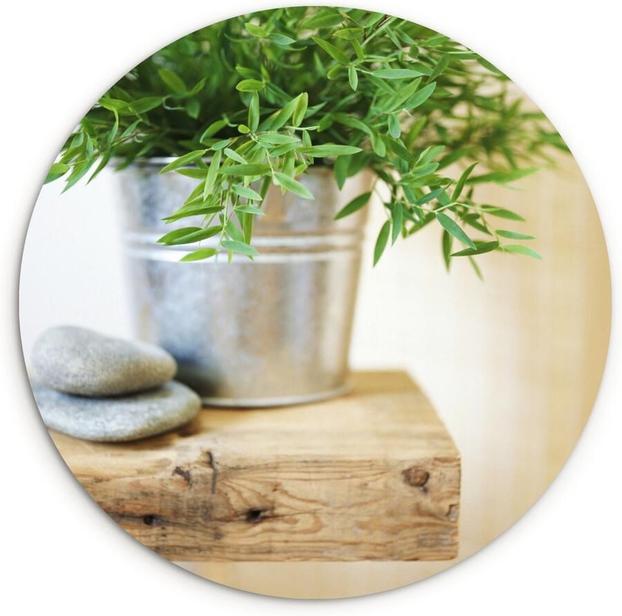 WallCircle Wandcirkel ⌀ 120 Metalen bak vol met dragon plantjes op een houten tafel Ronde schilderijen woonkamer Wandbord rond Muurdecoratie cirkel Kamer decoratie binnen Wanddecoratie muurcirkel Woonaccessoires XXL