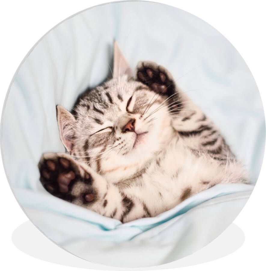 WallCircle Wandcirkel ⌀ 60 Kitten Bed Poten Meisjes Kinderen Jongens Kind Ronde schilderijen woonkamer Wandbord rond Muurdecoratie cirkel Kamer decoratie binnen Wanddecoratie muurcirkel Woonaccessoires