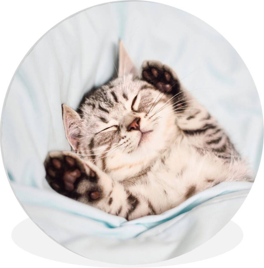WallCircle Wandcirkel ⌀ 60 Kitten Grappig Bed Kinderen Jongens Meisjes Kids Ronde schilderijen woonkamer Wandbord rond Muurdecoratie cirkel Kamer decoratie binnen Wanddecoratie muurcirkel Woonaccessoires