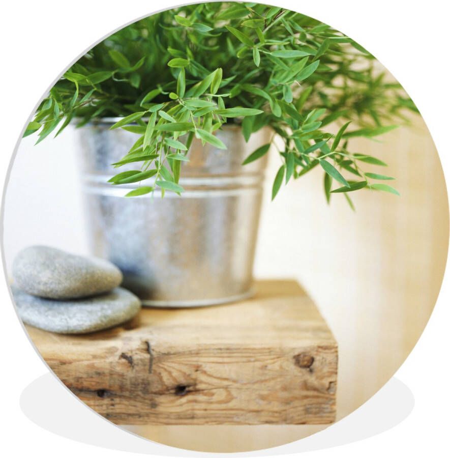 WallCircle Wandcirkel ⌀ 90 Metalen bak vol met dragon plantjes op een houten tafel Ronde schilderijen woonkamer Wandbord rond Muurdecoratie cirkel Kamer decoratie binnen Wanddecoratie muurcirkel Woonaccessoires