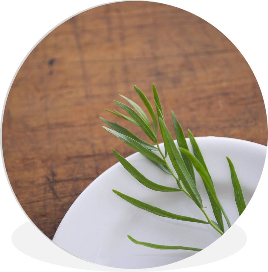 WallCircle Wandcirkel ⌀ 90 Spierwitte schaal met een eenzame dragon plantje op een houten tafel Ronde schilderijen woonkamer Wandbord rond Muurdecoratie cirkel Kamer decoratie binnen Wanddecoratie muurcirkel Woonaccessoires