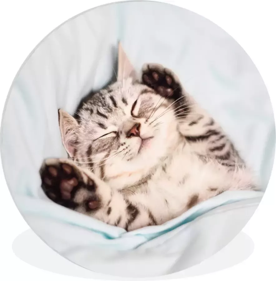 WallCircle Wandcirkel ⌀ 140 Kitten Bed Poten Meisjes Kinderen Jongens Kind Ronde schilderijen woonkamer Wandbord rond Muurdecoratie cirkel Kamer decoratie binnen Wanddecoratie muurcirkel Woonaccessoires