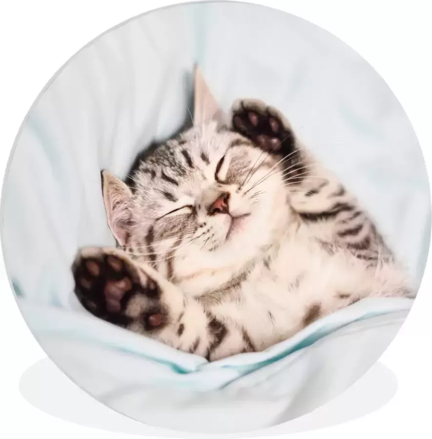 WallCircle Wandcirkel ⌀ 120 Kitten Grappig Bed Kinderen Jongens Meisjes Kids Ronde schilderijen woonkamer Wandbord rond Muurdecoratie cirkel Kamer decoratie binnen Wanddecoratie muurcirkel Woonaccessoires XXL - Foto 2