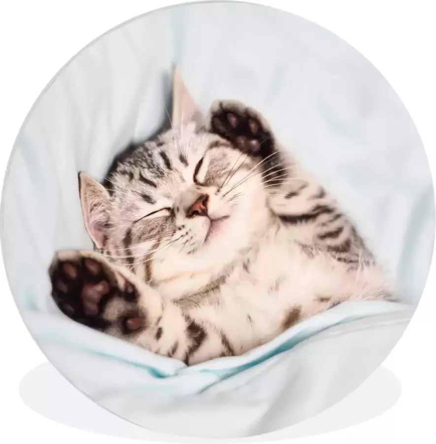 WallCircle Wandcirkel ⌀ 120 Kitten Slaap Bed Ronde schilderijen woonkamer Wandbord rond Muurdecoratie cirkel Kamer decoratie binnen Wanddecoratie muurcirkel Woonaccessoires XXL