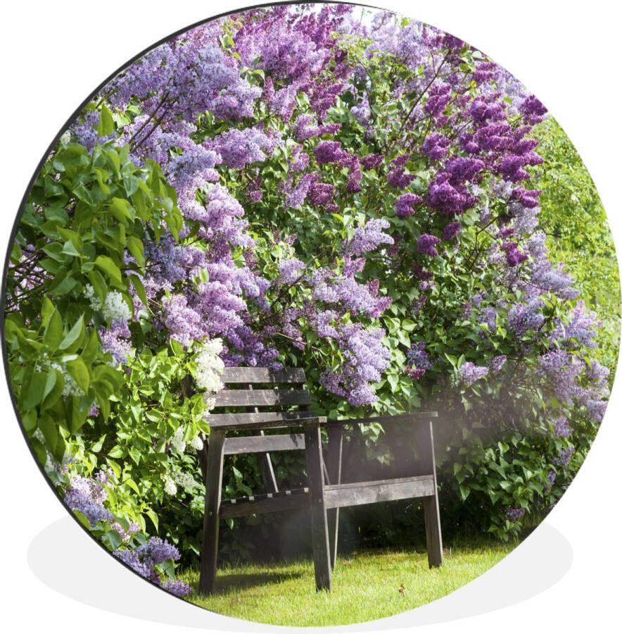 WallCircle Wandcirkel Muurcirkel Houten bank onder seringen Aluminium Dibond ⌀ 90 cm Binnen en Buiten