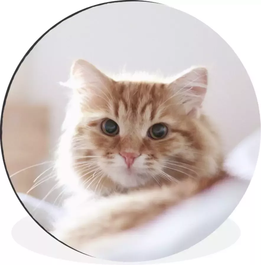 WallCircle Wandcirkel Muurcirkel Kat Rood Bed Meisjes Kinderen Jongens Kids Aluminium Dibond ⌀ 60 cm Binnen en Buiten