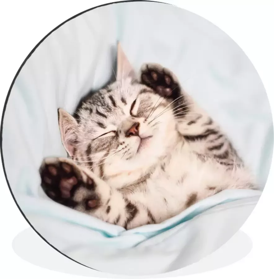 WallCircle Wandcirkel Muurcirkel Kitten Bed Poten Meisjes Kinderen Jongens Kind Aluminium Dibond 120x120 cm Binnen en Buiten XXL