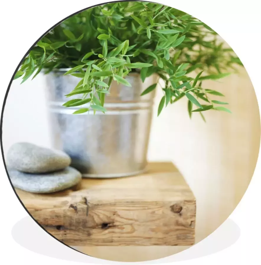 WallCircle Wandcirkel Muurcirkel Metalen bak vol met dragon plantjes op een houten tafel Aluminium Dibond ⌀ 90 cm Binnen en Buiten