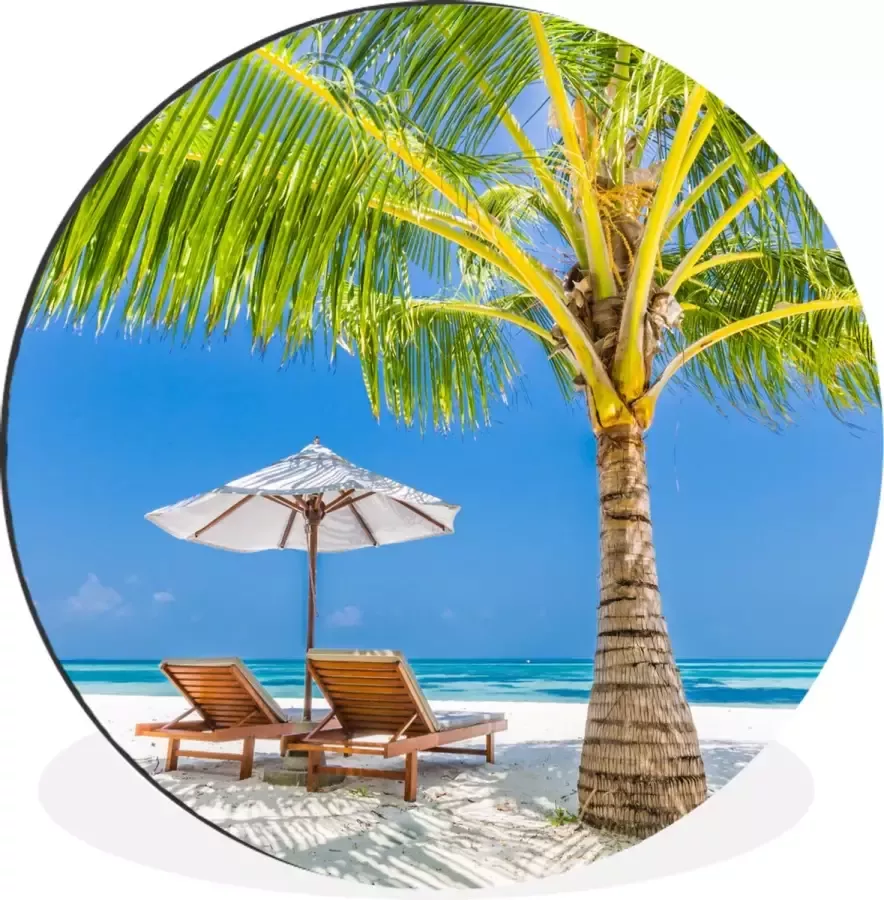 WallCircle Wandcirkel Muurcirkel Palmboom Strandstoel Parasol Aluminium Dibond ⌀ 60 cm Binnen en Buiten