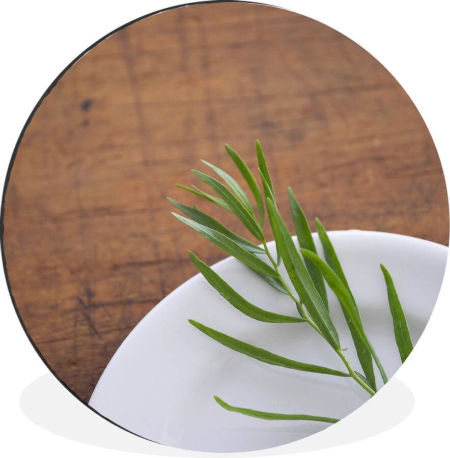 WallCircle Wandcirkel Muurcirkel Spierwitte schaal met een eenzame dragon plantje op een houten tafel Aluminium Dibond ⌀ 90 cm Binnen en Buiten