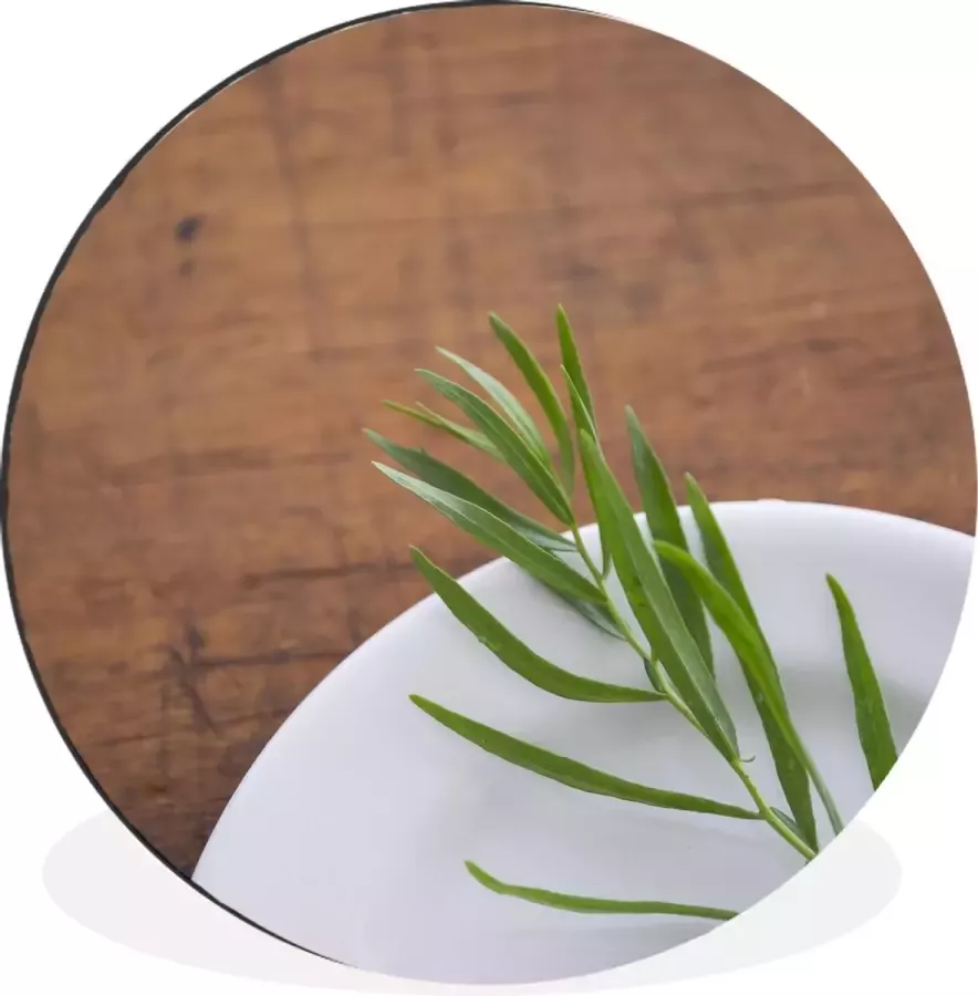 WallCircle Wandcirkel Muurcirkel Spierwitte schaal met een eenzame dragon plantje op een houten tafel Aluminium Dibond ⌀ 90 cm Binnen en Buiten