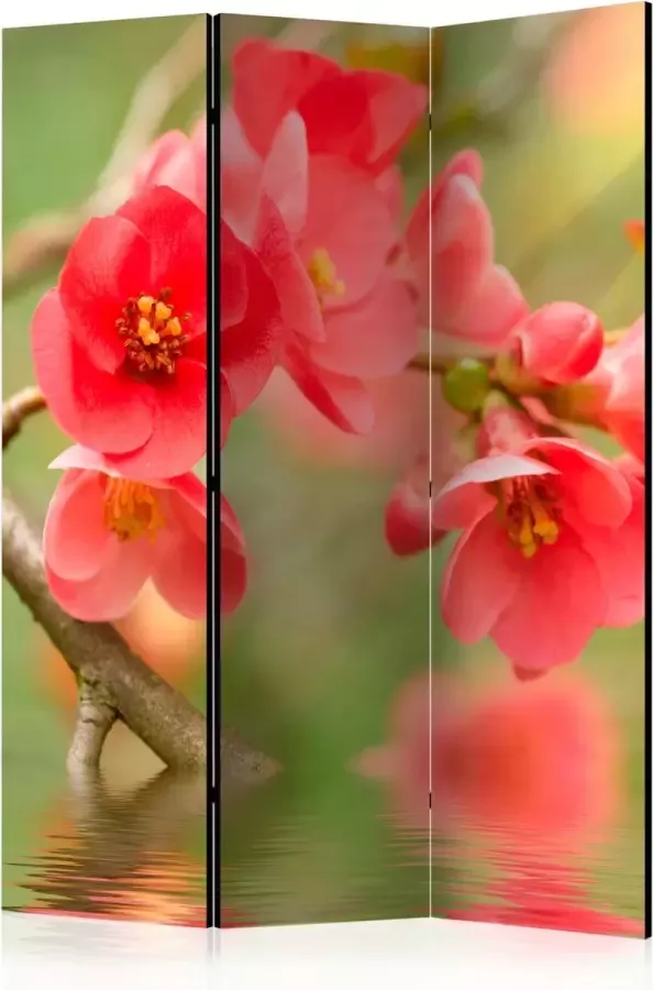 Artgeist Vouwscherm Azalea reflected in the water [Room Dividers] - Foto 2