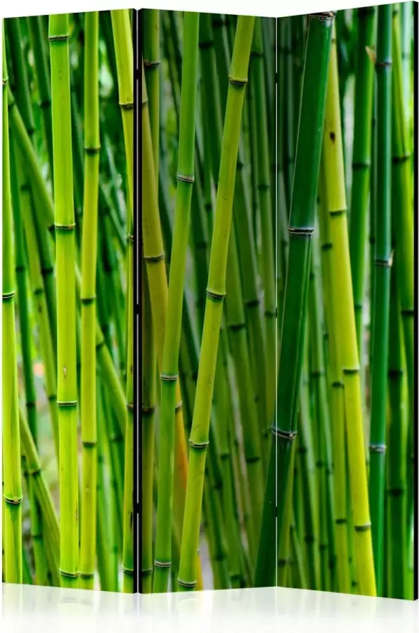 Artgeist Vouwscherm Bamboo Forest [Room Dividers]