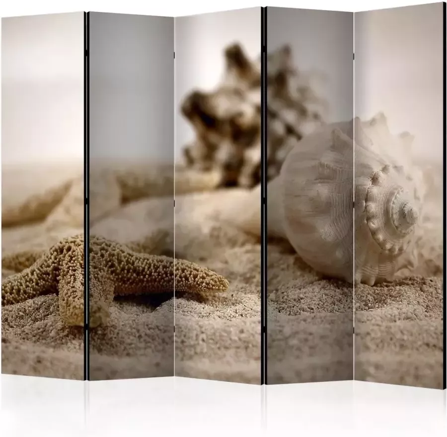 Artgeist Vouwscherm Beach and shell II [Room Dividers]
