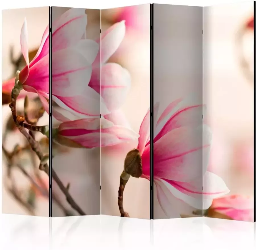 Artgeist Vouwscherm Branch of magnolia tree II [Room Dividers]
