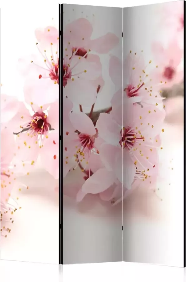 Vertical Decoration.com Vouwscherm Cherry Blossom Kamerscherm 3 Panelen