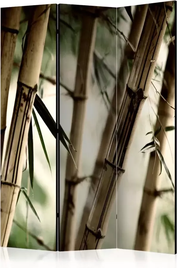 Artgeist Vouwscherm Fog and bamboo forest [Room Dividers] - Foto 2