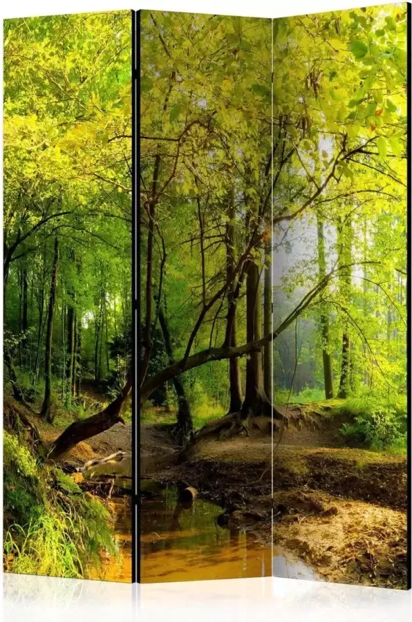 Artgeist Vouwscherm Forest Clearing [Room Dividers]