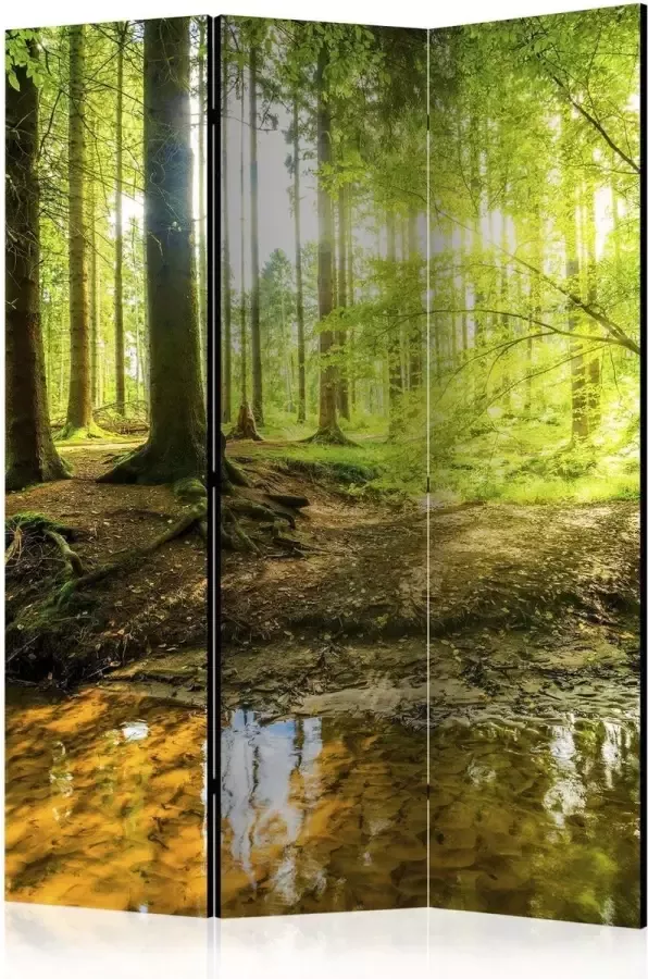 Artgeist Vouwscherm Forest Lake [Room Dividers]