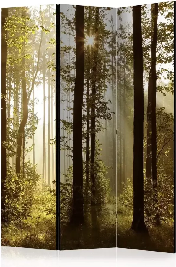Artgeist Vouwscherm Forest: Morning Sunlight [Room Dividers]