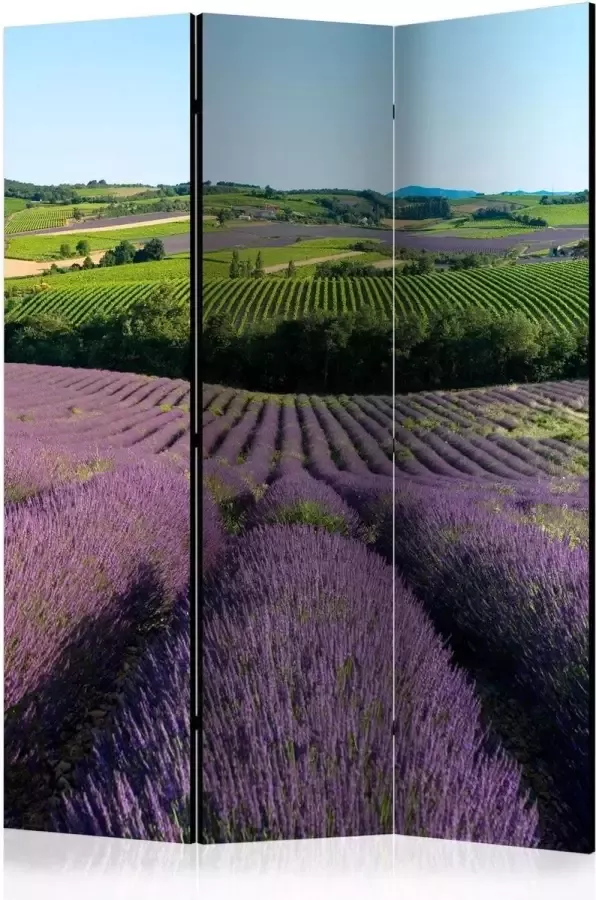Artgeist Vouwscherm Lavender fields [Room Dividers] - Foto 2