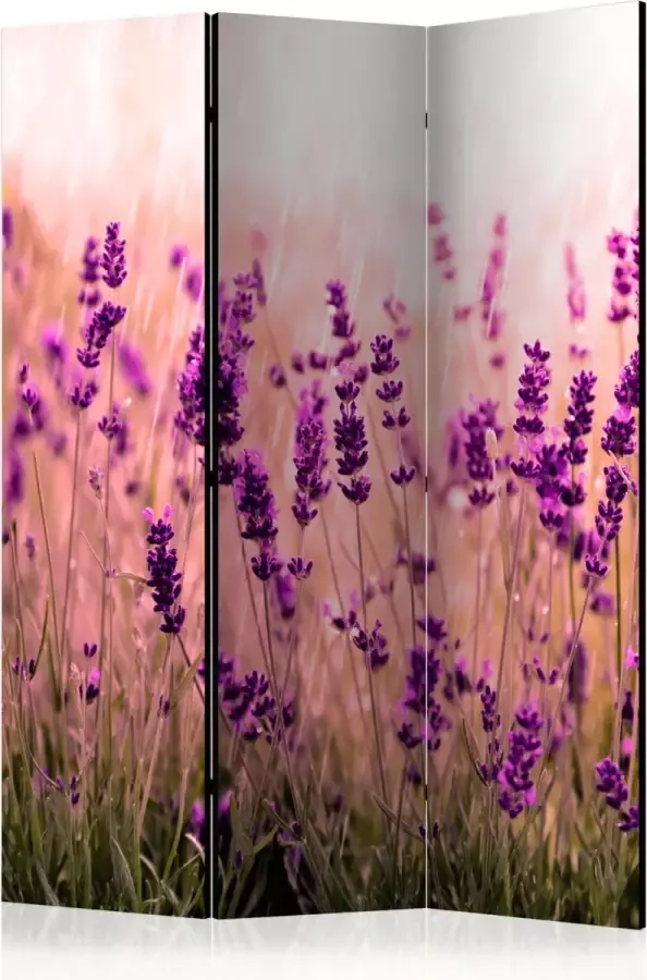 Vertical Decoration.com Vouwscherm Lavender in the Rain Kamerscherm 3 Panelen - Foto 2