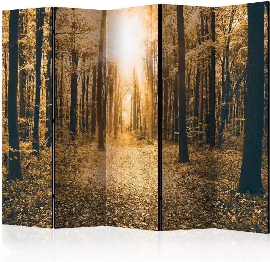 Artgeist Vouwscherm Magical Light II [Room Dividers] - Foto 2