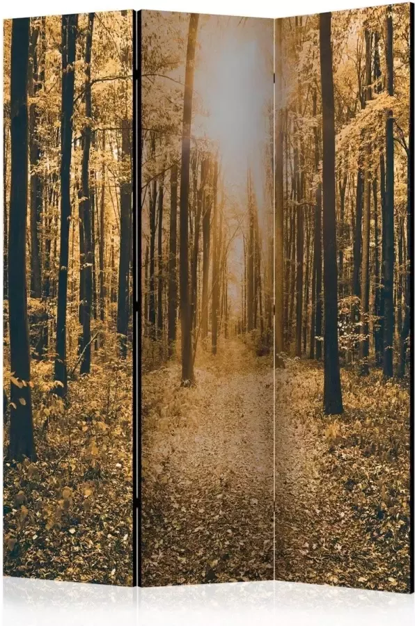 Artgeist Vouwscherm Magical Light [Room Dividers]