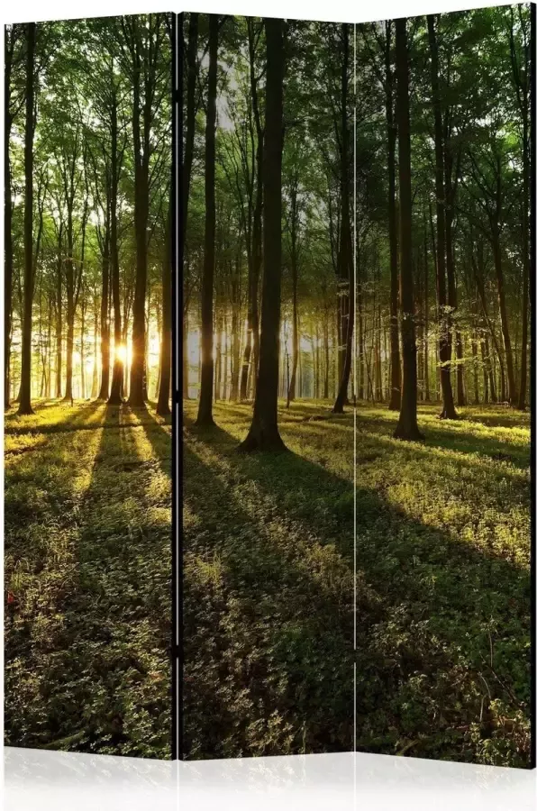 Artgeist Vouwscherm Morning in the Forest [Room Dividers] - Foto 2