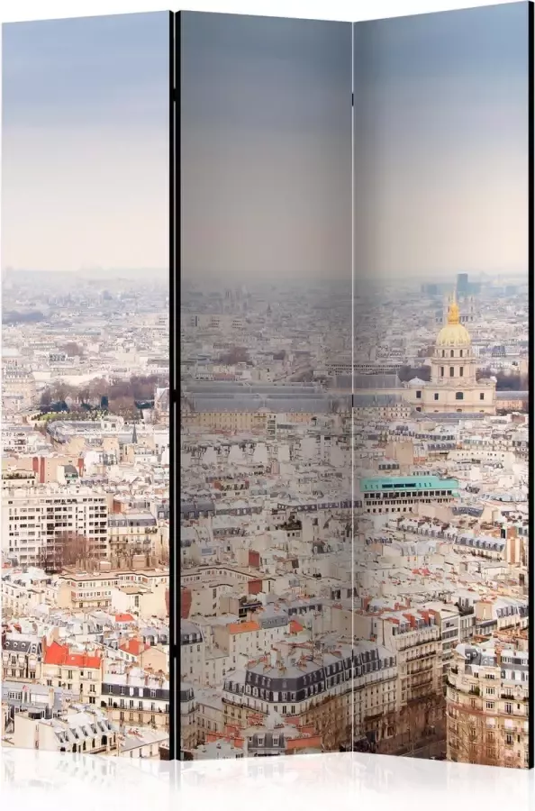 Artgeist Vouwscherm Paris Streets [Room Dividers]