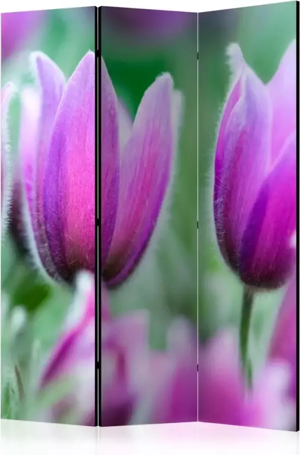 Artgeist Vouwscherm Purple spring tulips [Room Dividers]