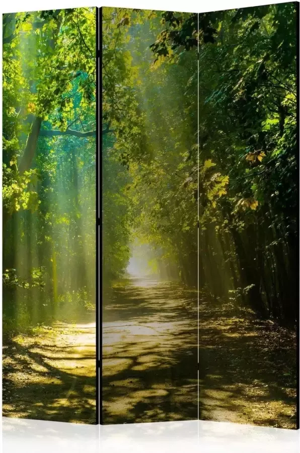 Vertical Decoration.com Vouwscherm Road in Sunlight Kamerscherm 3 Panelen