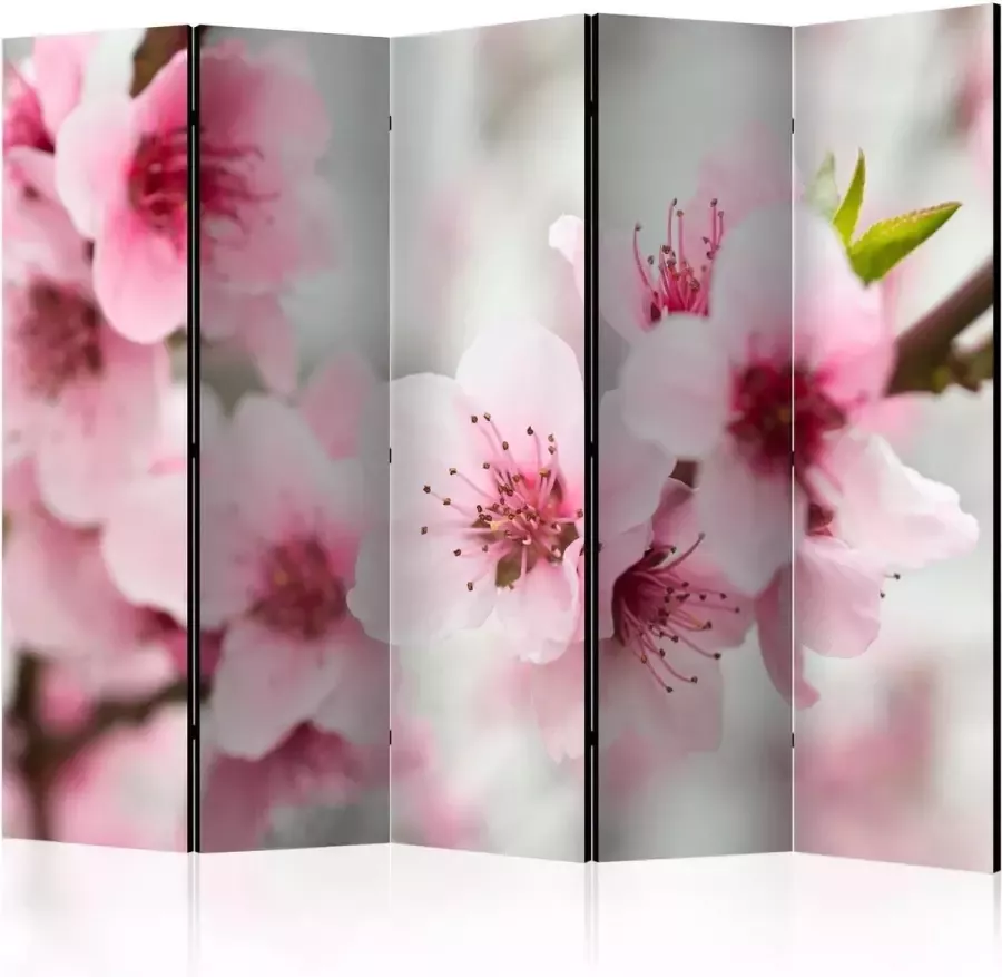 Walljar Vouwscherm Spring blooming tree pink flowers II [Room Dividers]