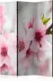 Artgeist Walljar Vouwscherm Spring blooming tree pink flowers [Room Dividers] - Thumbnail 2