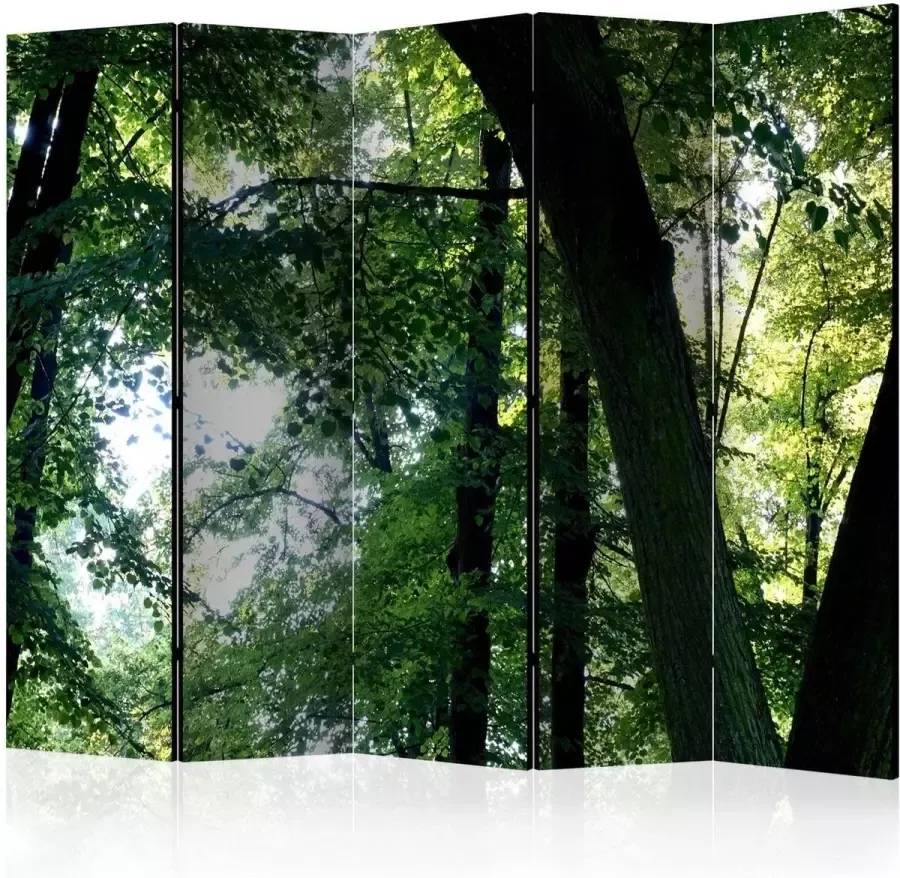 Artgeist Vouwscherm Spring in the Park II [Room Dividers] - Foto 2