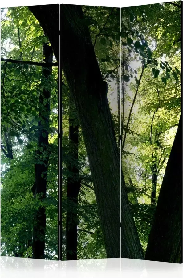 Artgeist Vouwscherm Spring in the Park [Room Dividers]